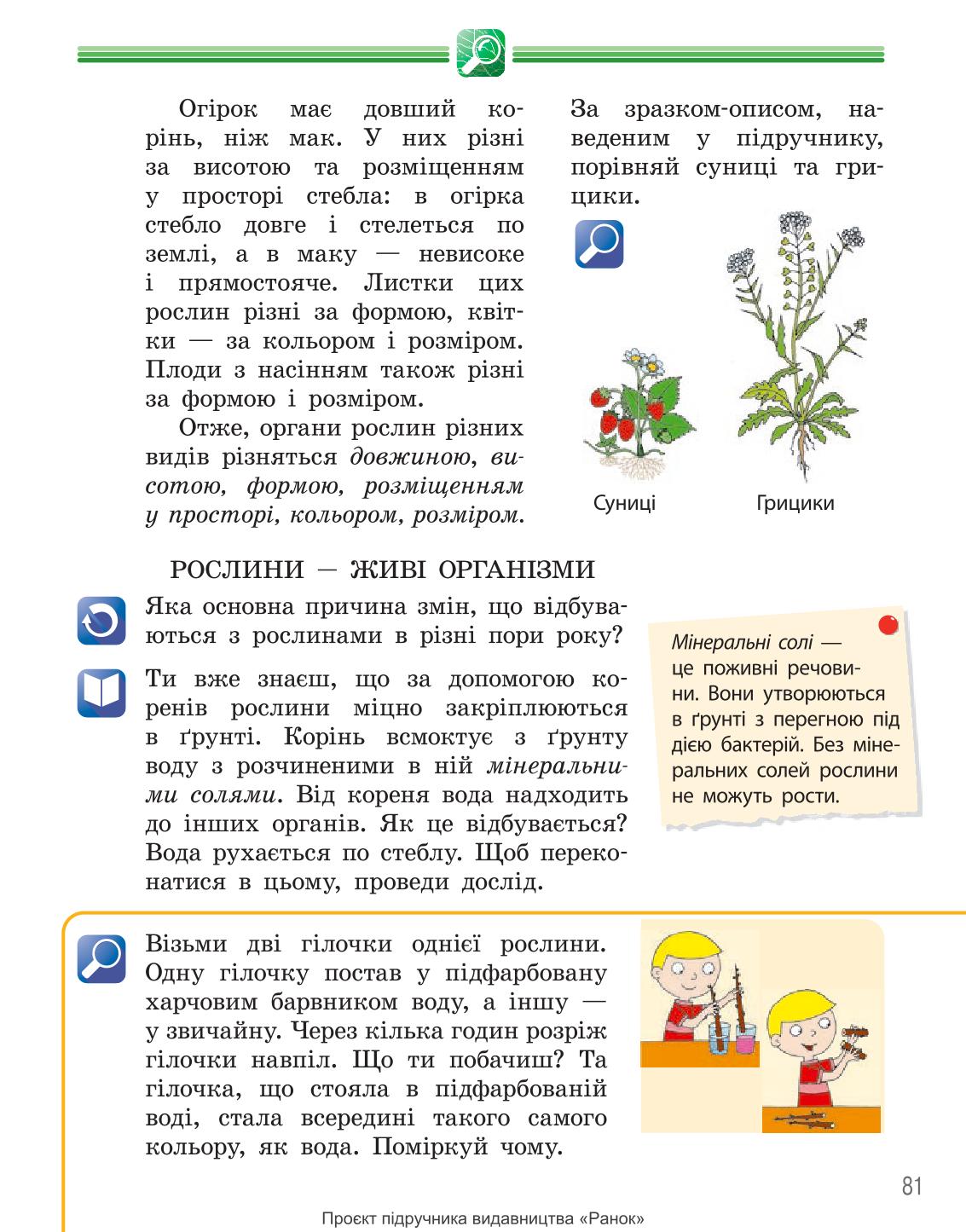 Мініатюра 81