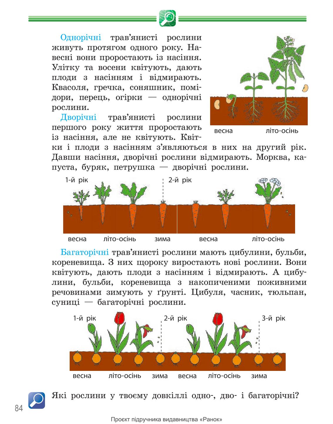 Мініатюра 84