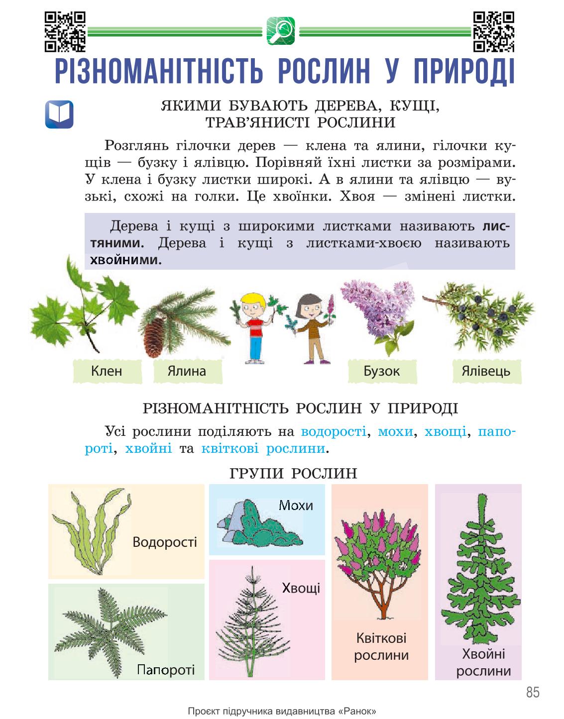Мініатюра 85