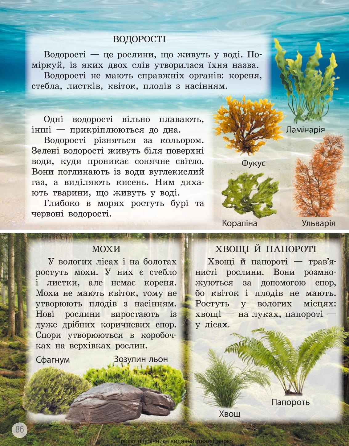 Мініатюра 86