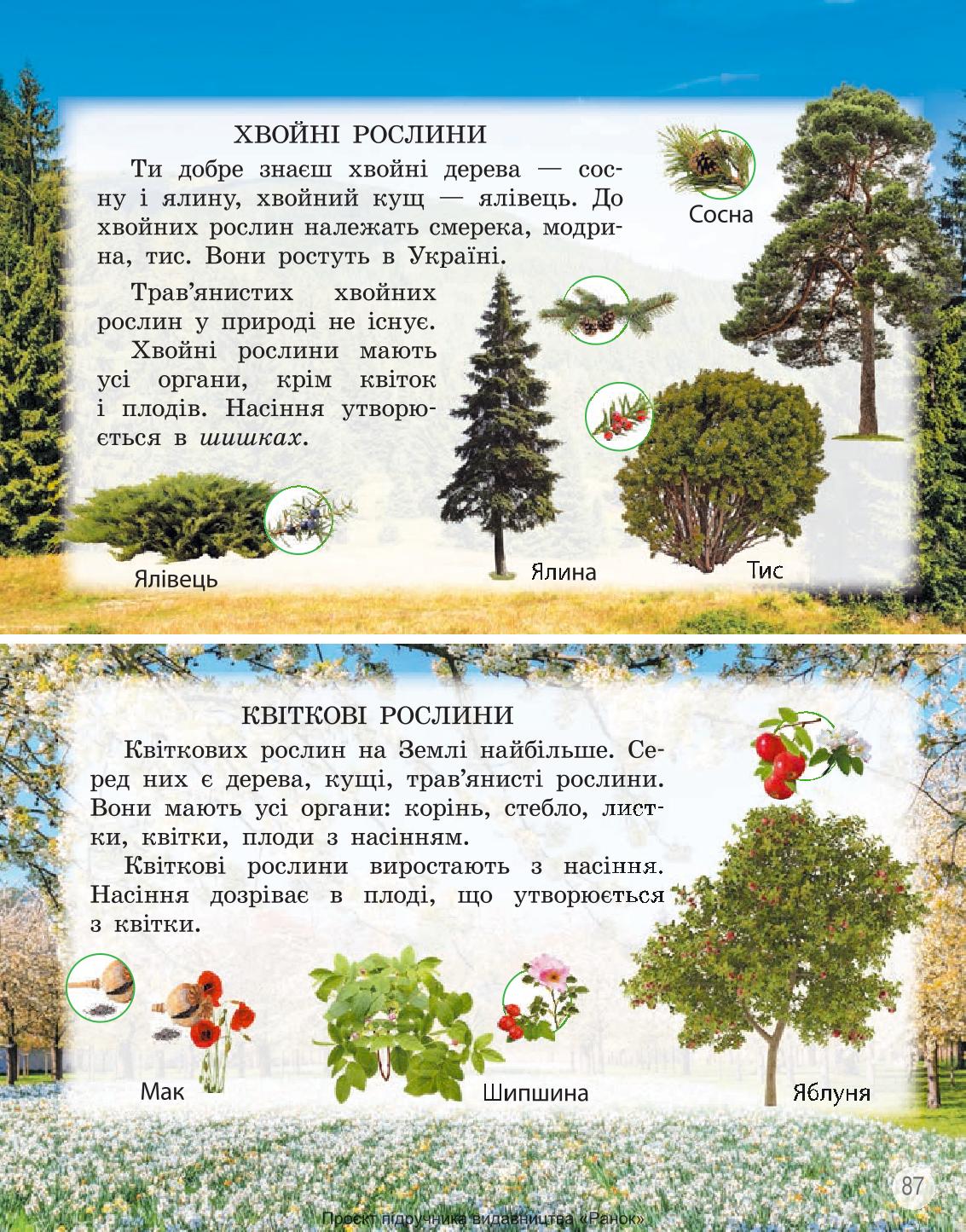 Мініатюра 87