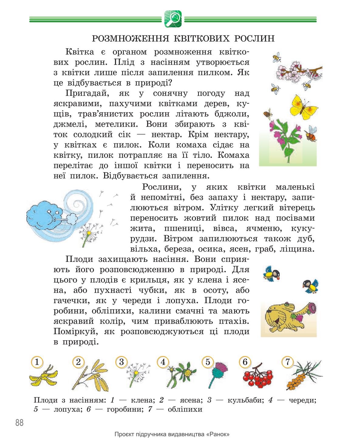 Мініатюра 88