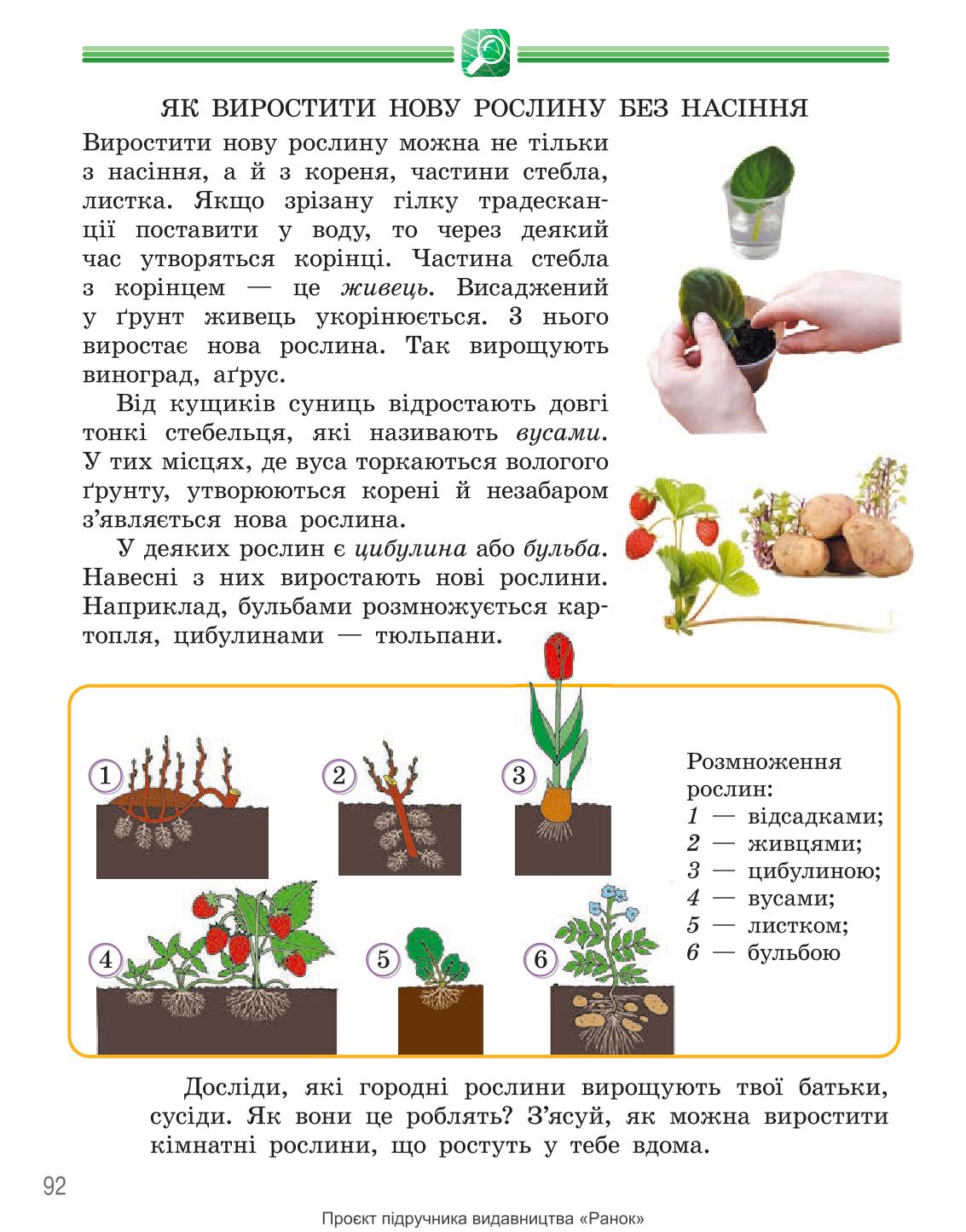 Мініатюра 92