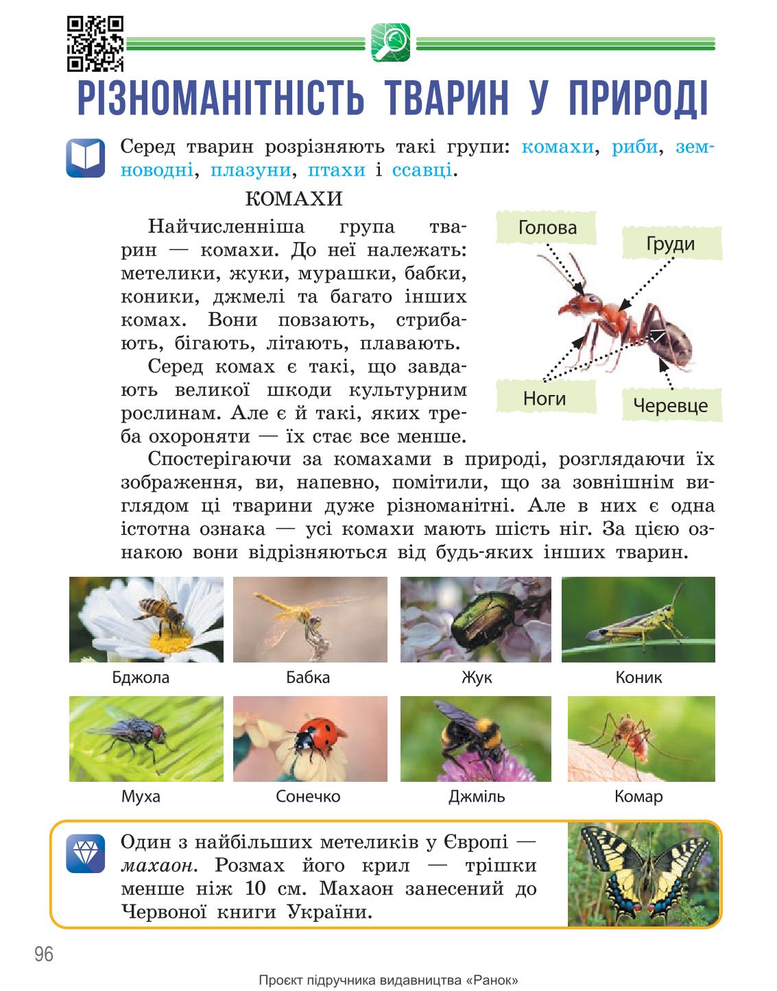 Мініатюра 96