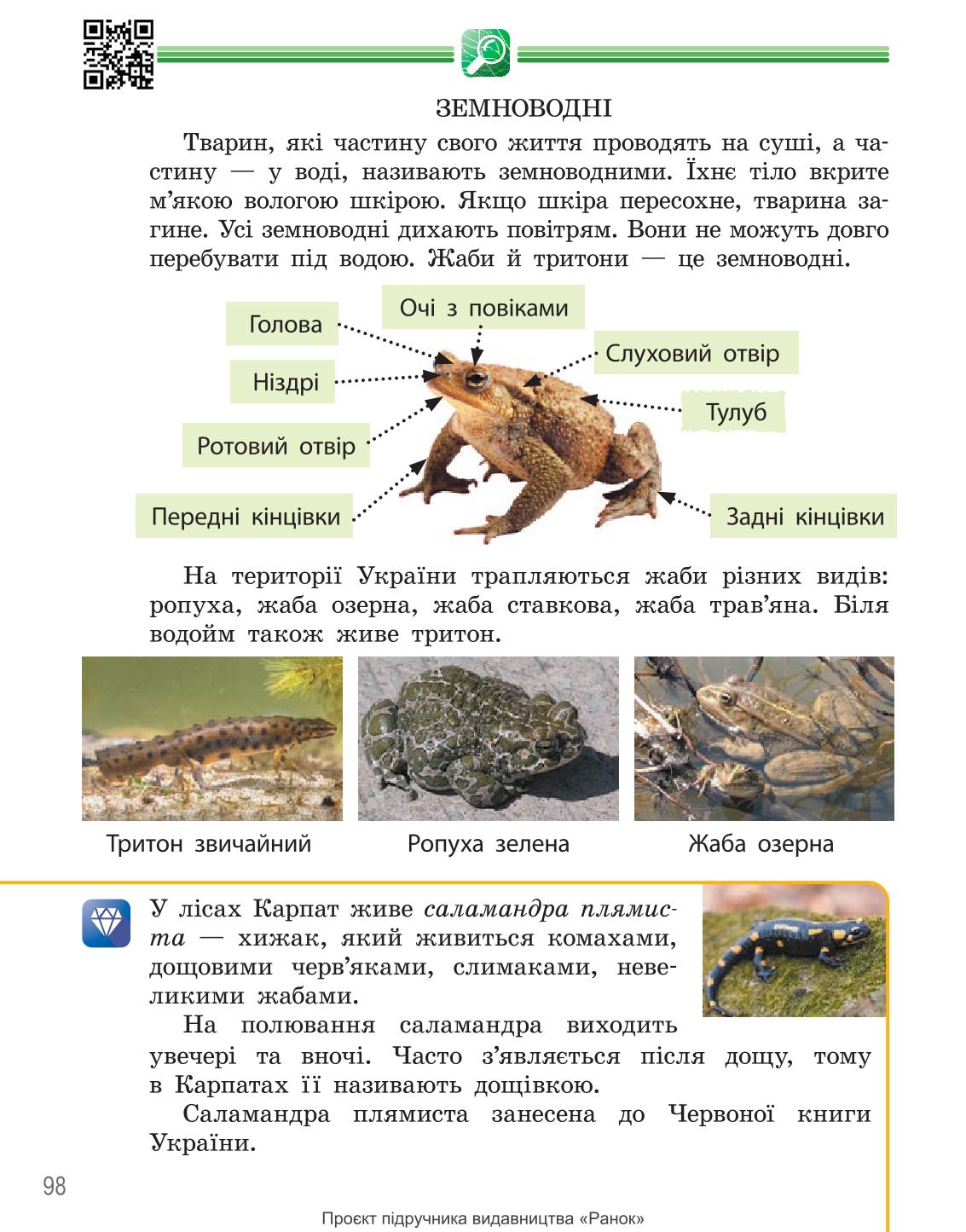 Мініатюра 98