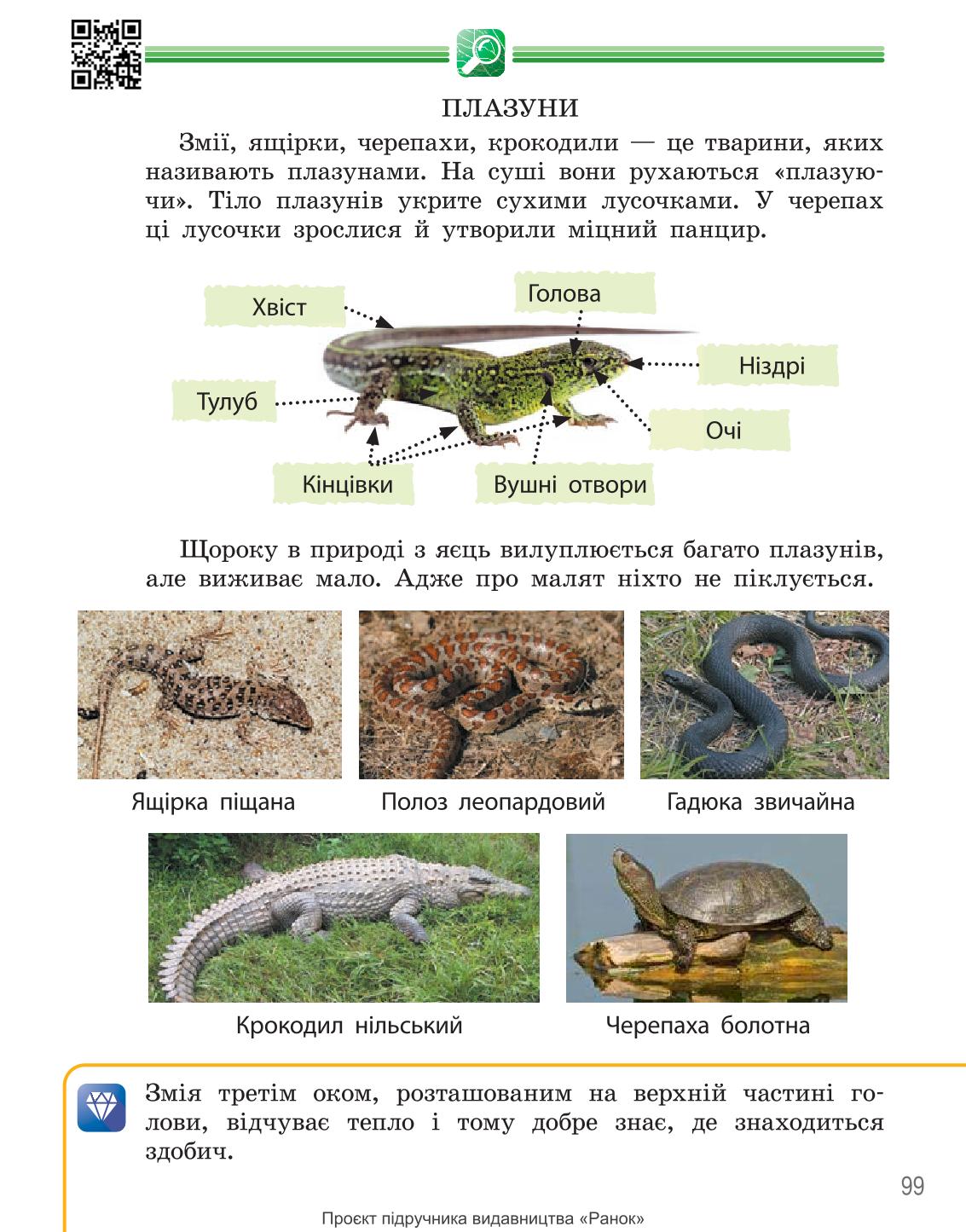 Мініатюра 99