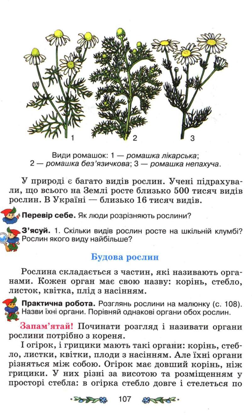 Мініатюра 107