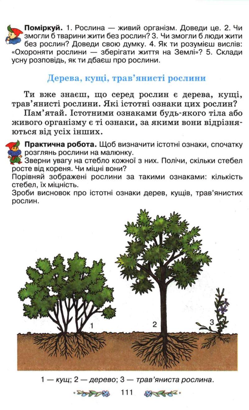 Мініатюра 111