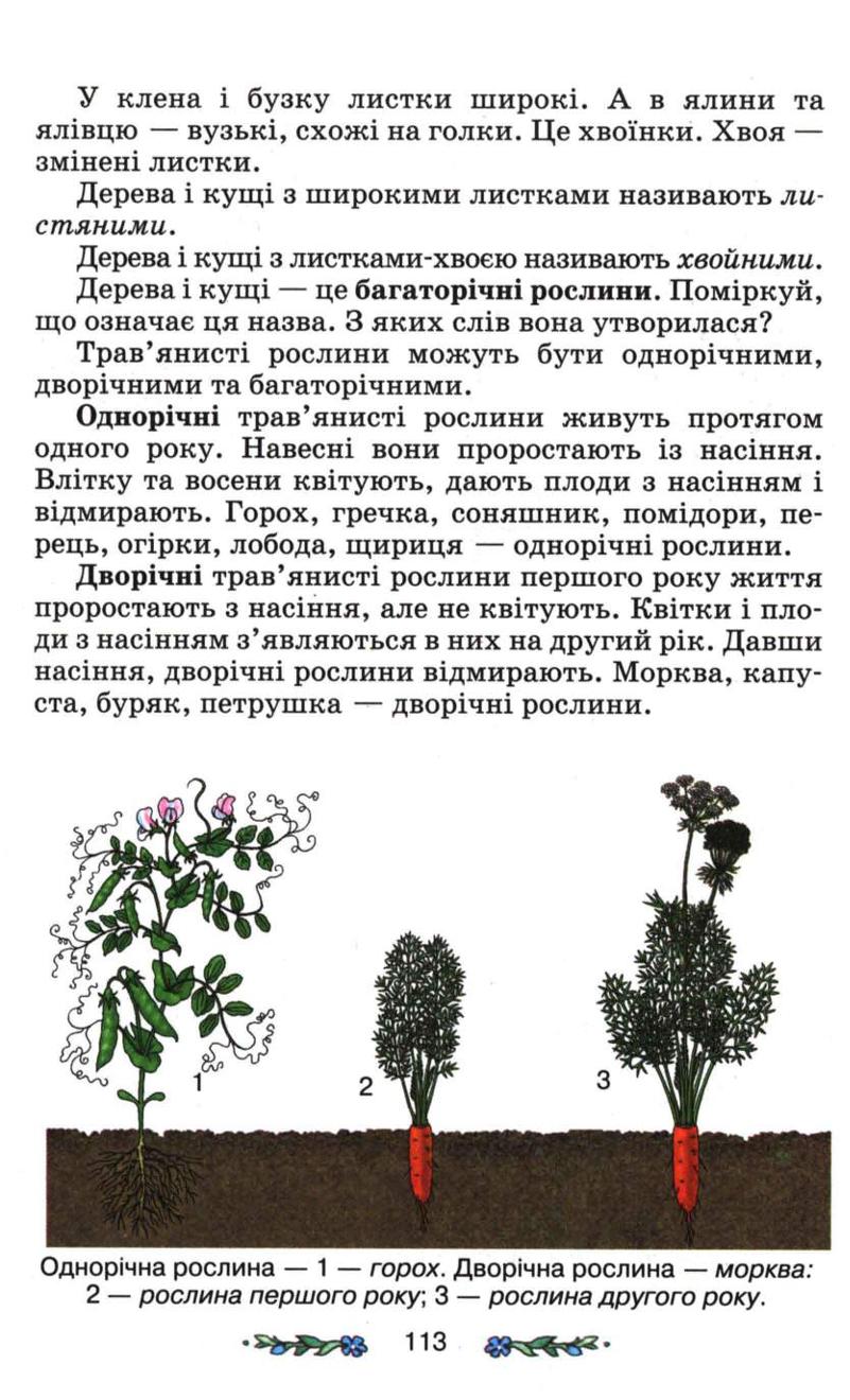 Мініатюра 113