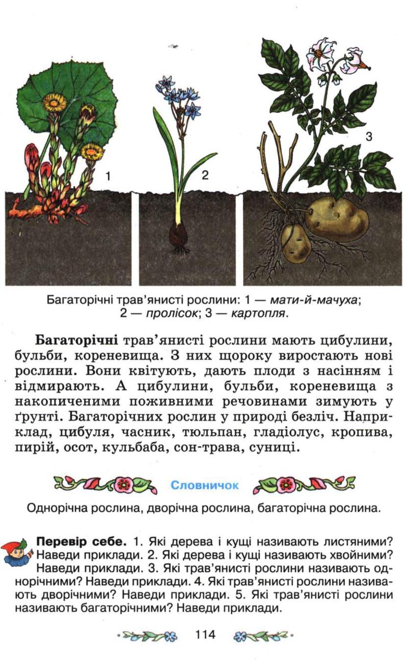 Мініатюра 114