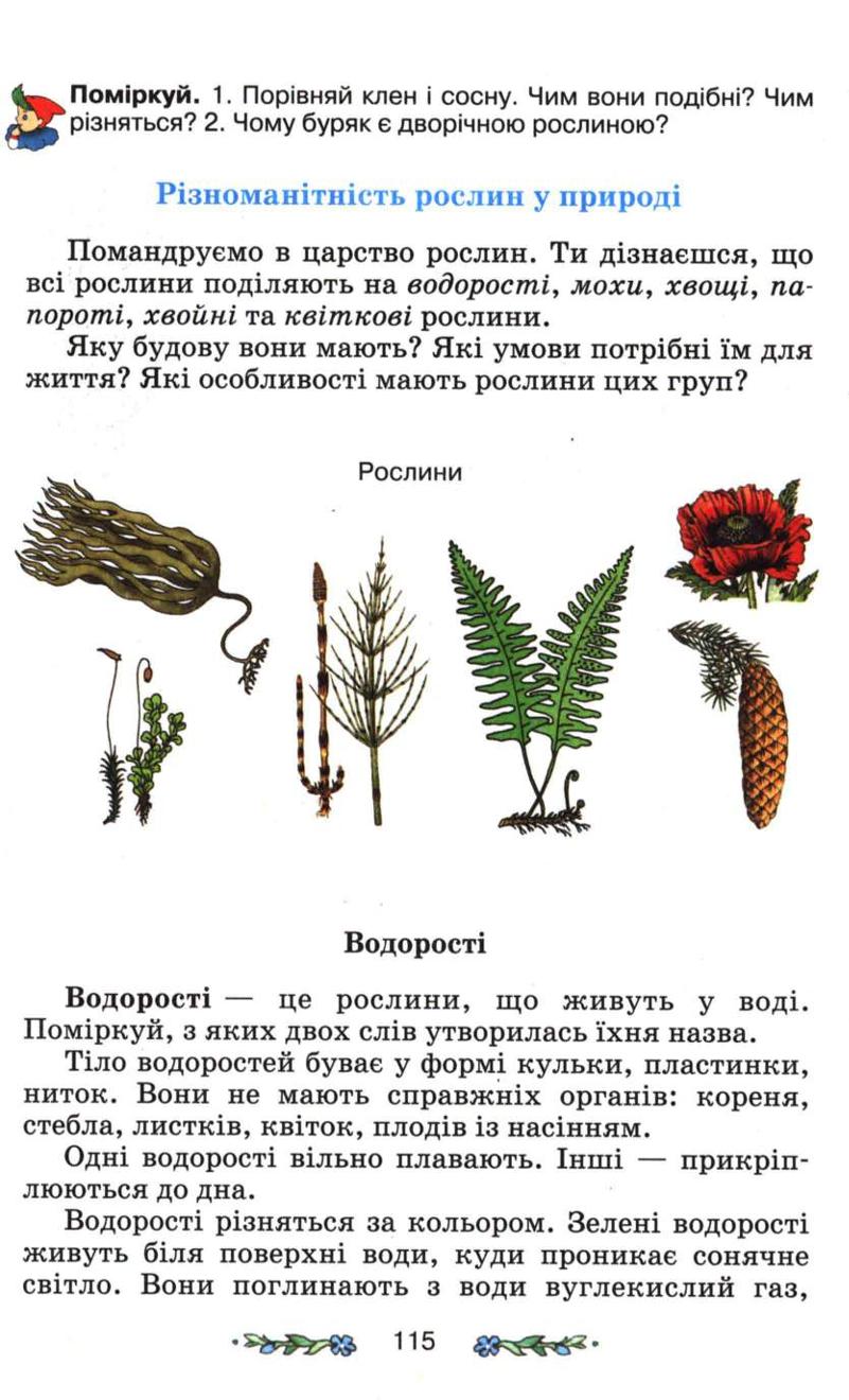 Мініатюра 115