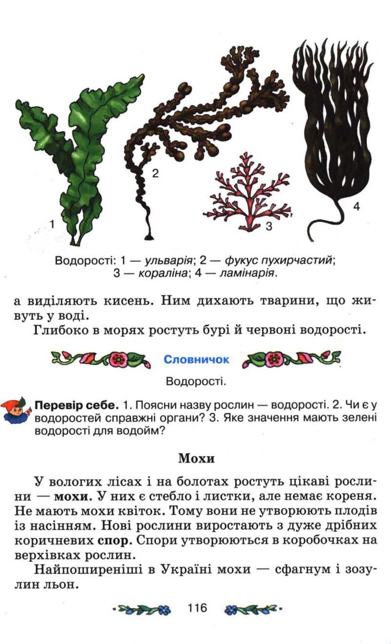 Мініатюра 116