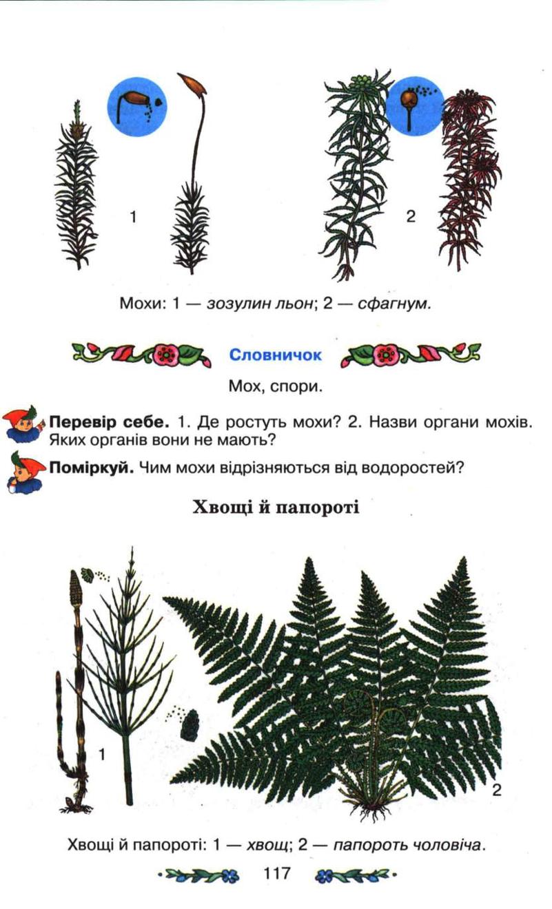 Мініатюра 117