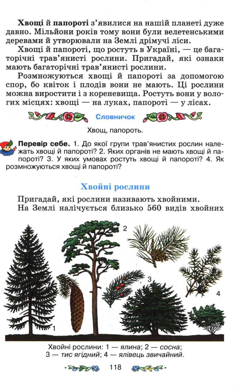 Мініатюра 118