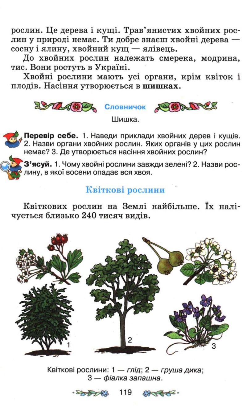 Мініатюра 119