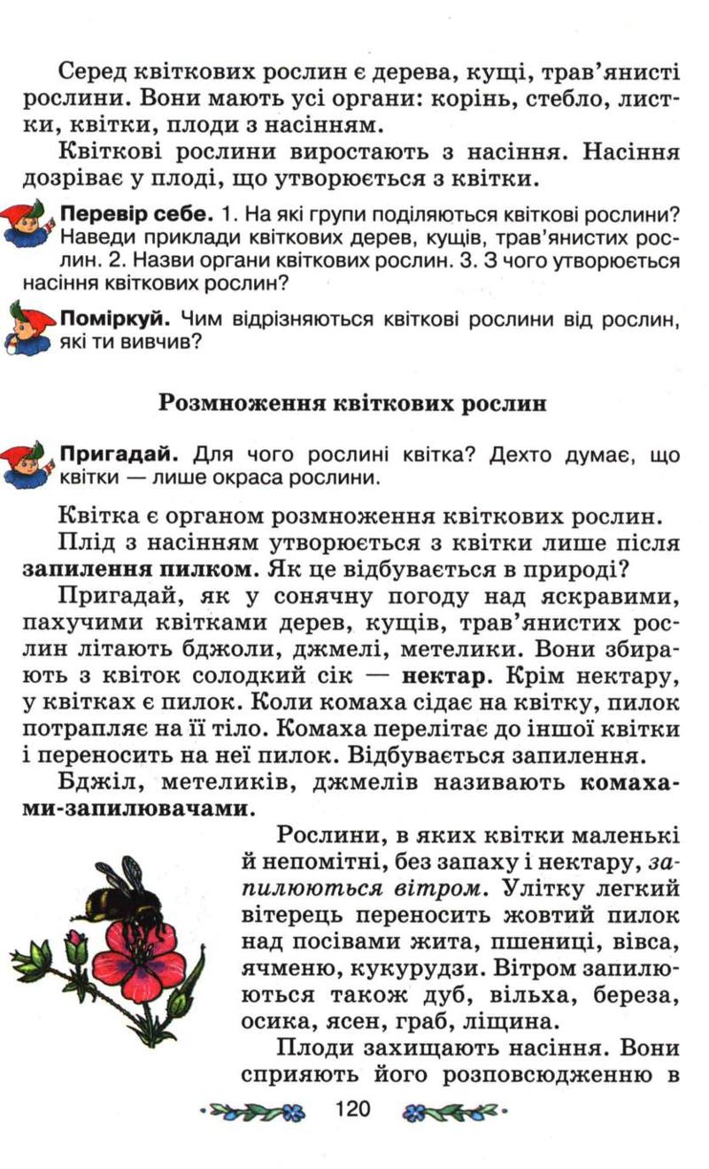 Мініатюра 120