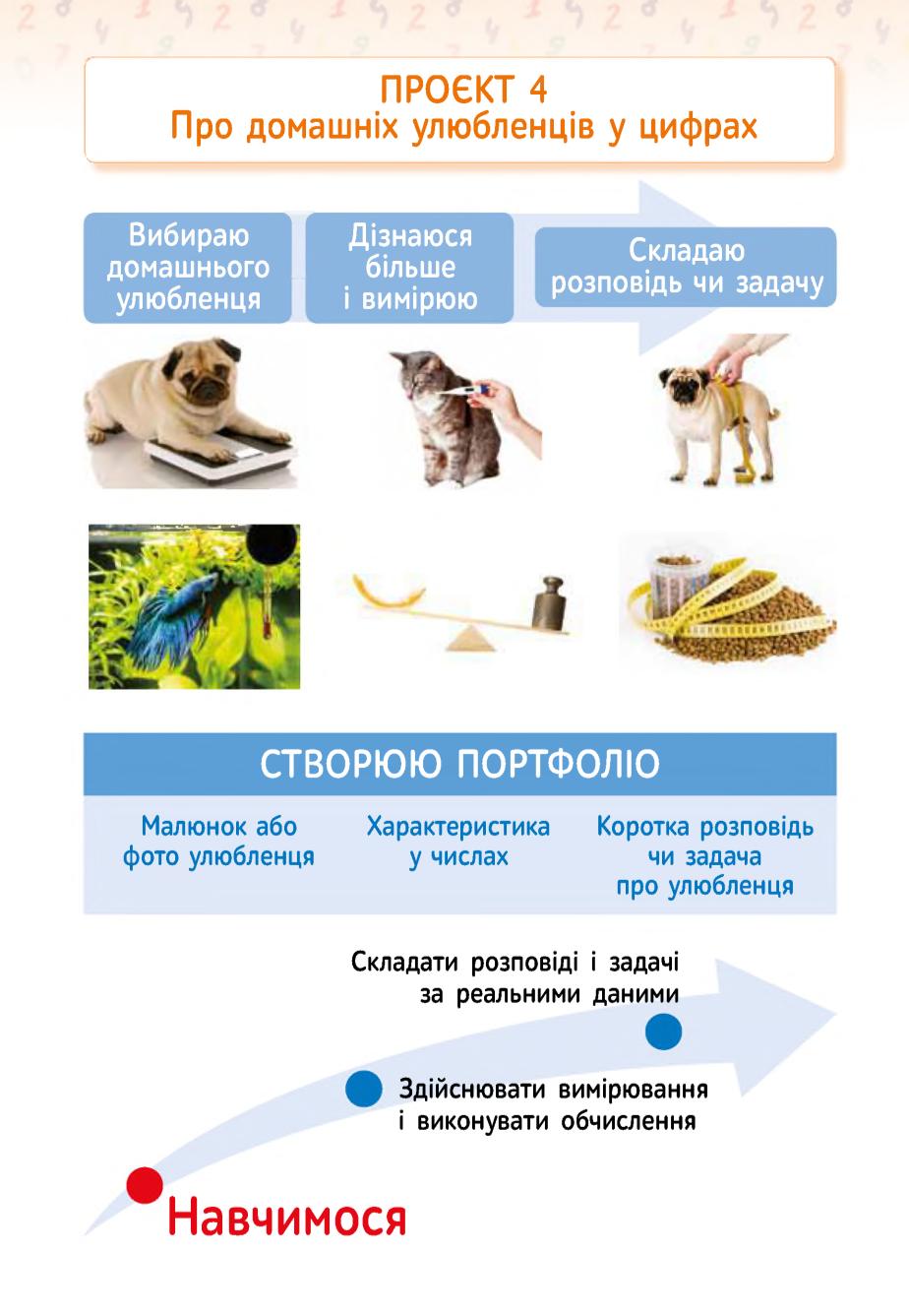 Мініатюра 74