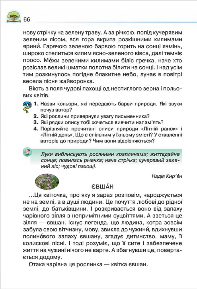 Мініатюра 66