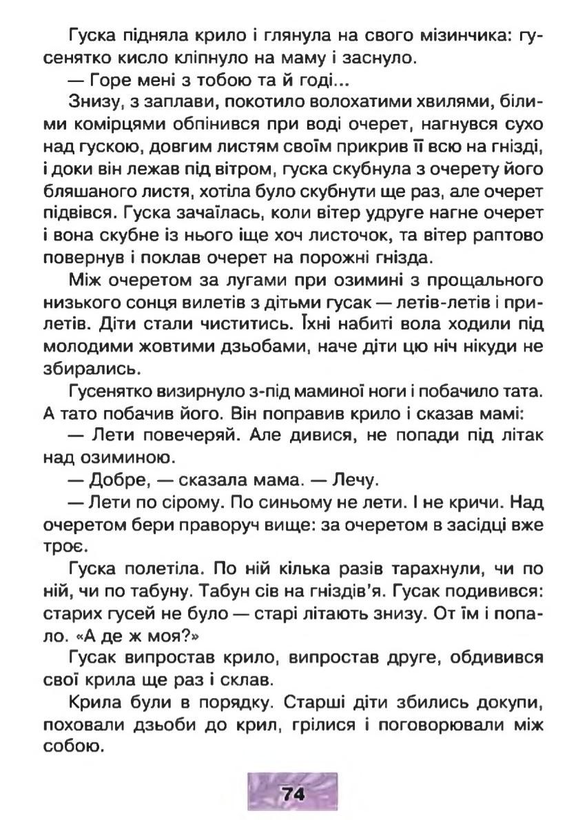 Мініатюра 74