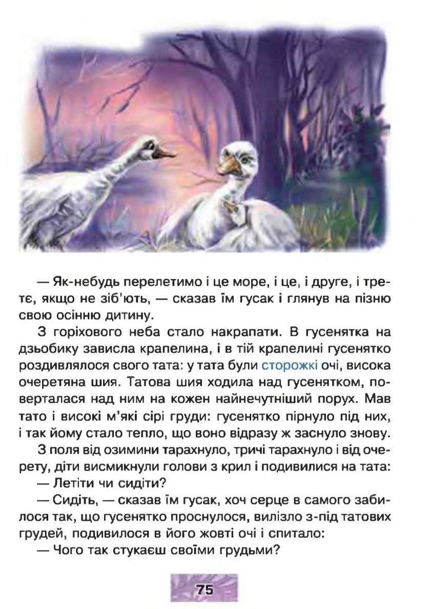 Мініатюра 75