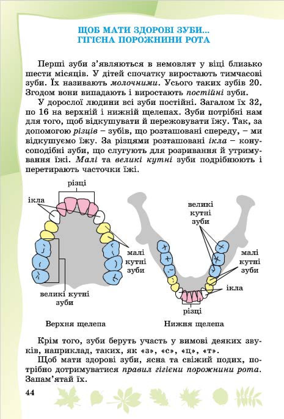 Мініатюра 42