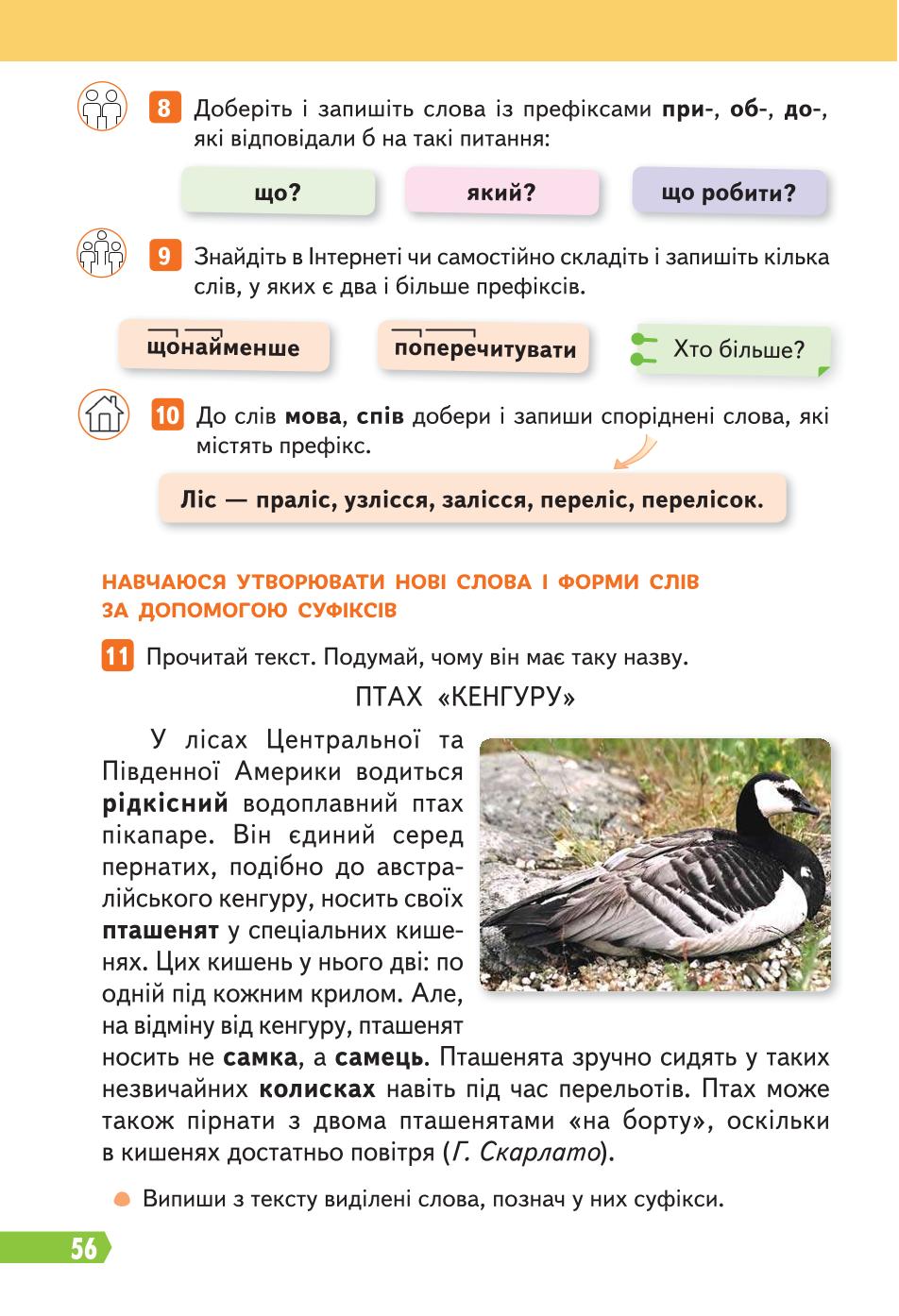 Мініатюра 56