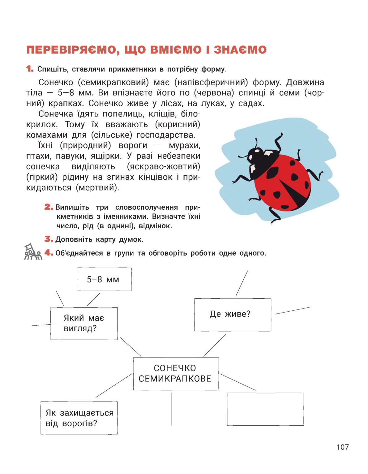 Мініатюра 107