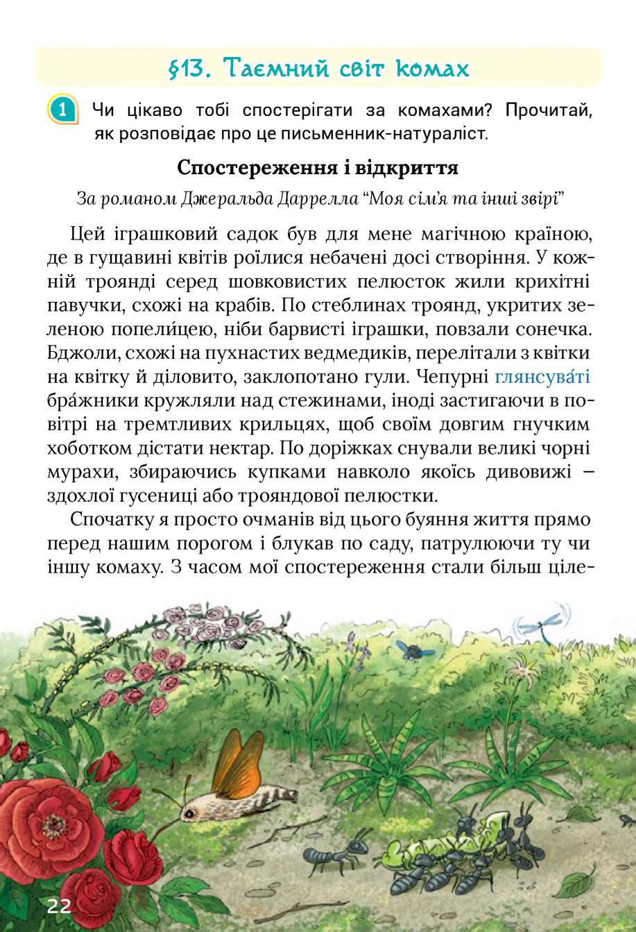 Мініатюра 22