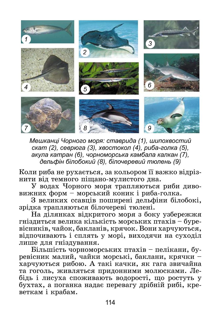 Мініатюра 114