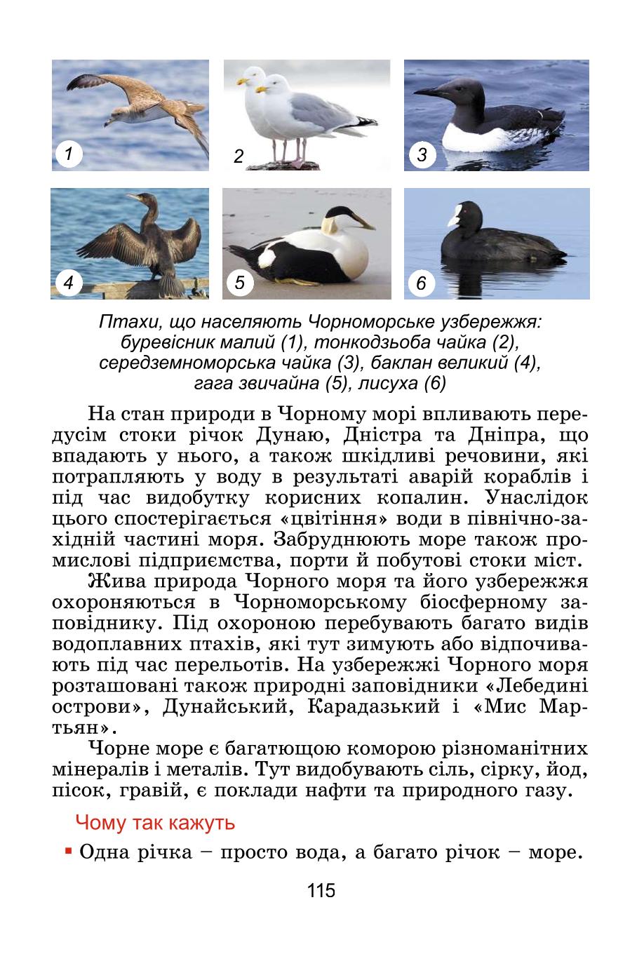 Мініатюра 115