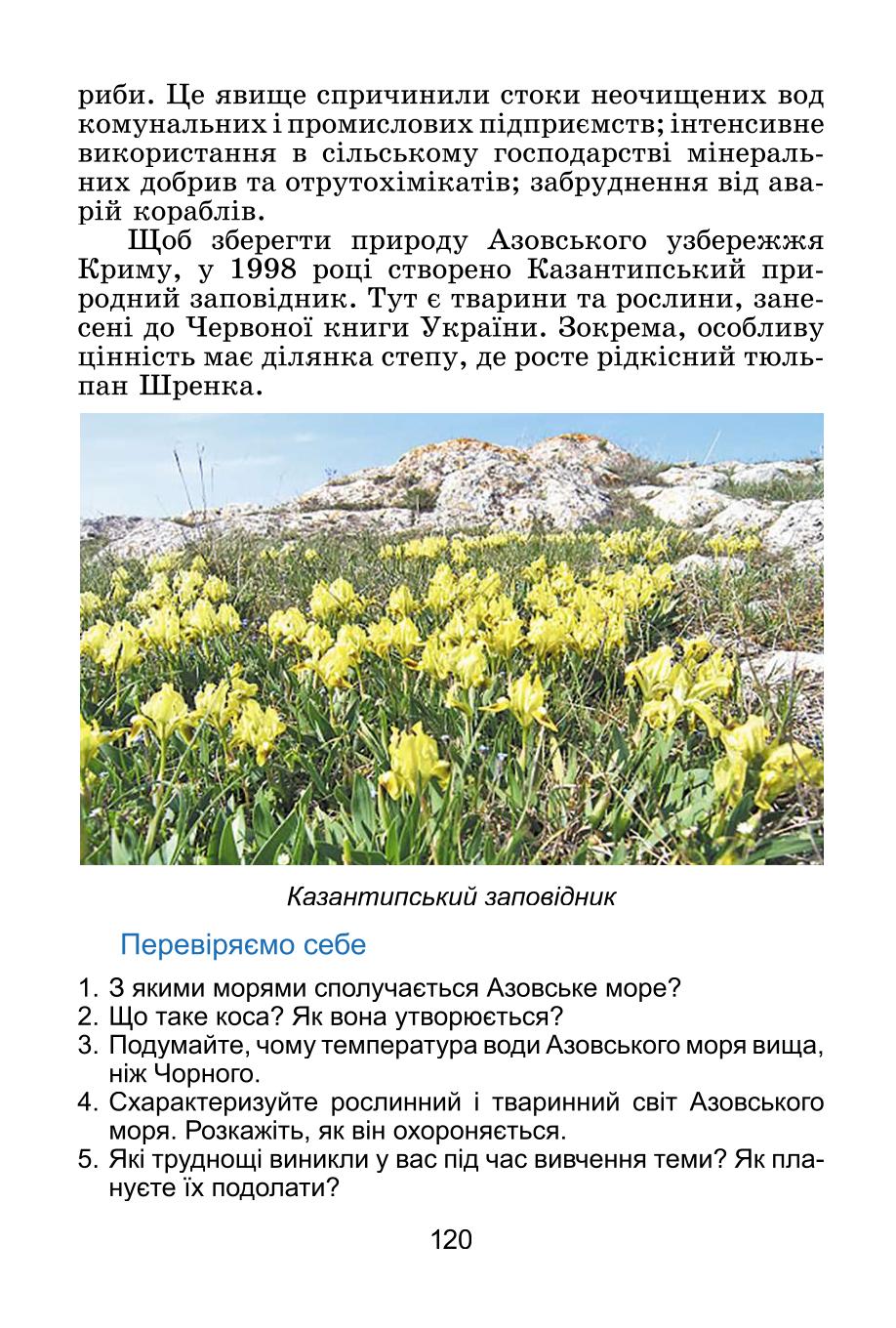 Мініатюра 120