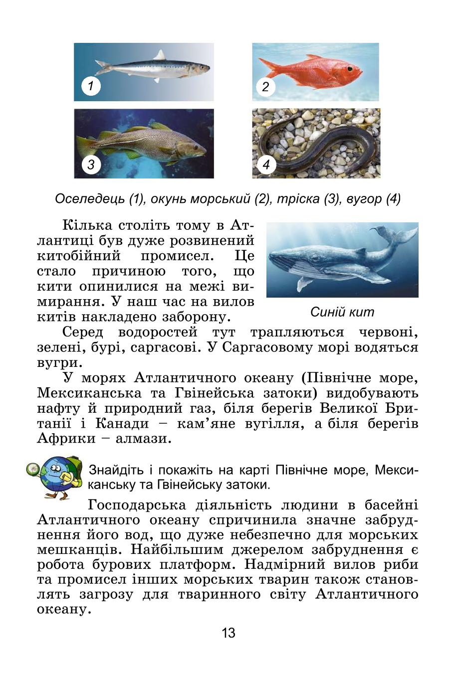 Мініатюра 13