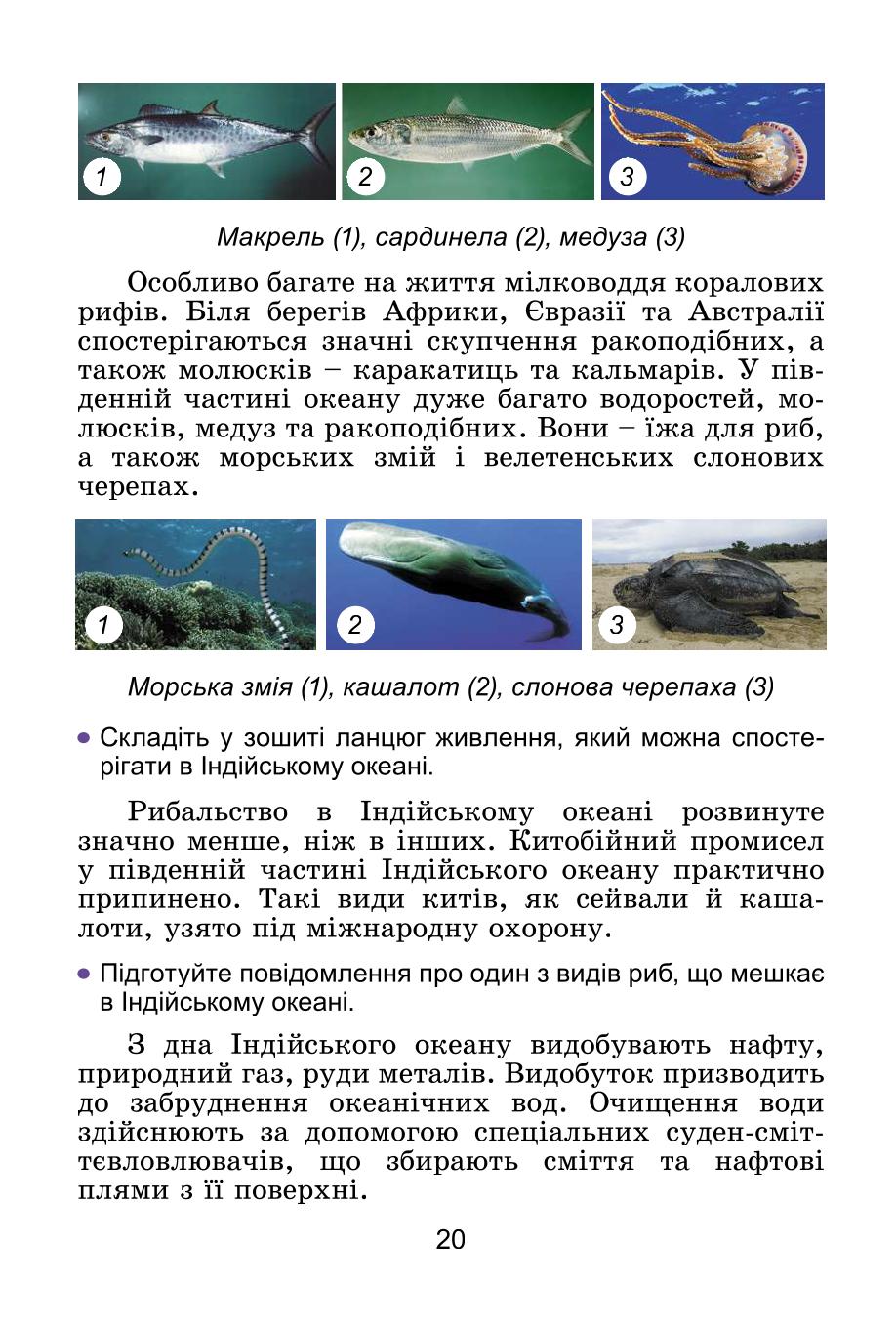Мініатюра 20