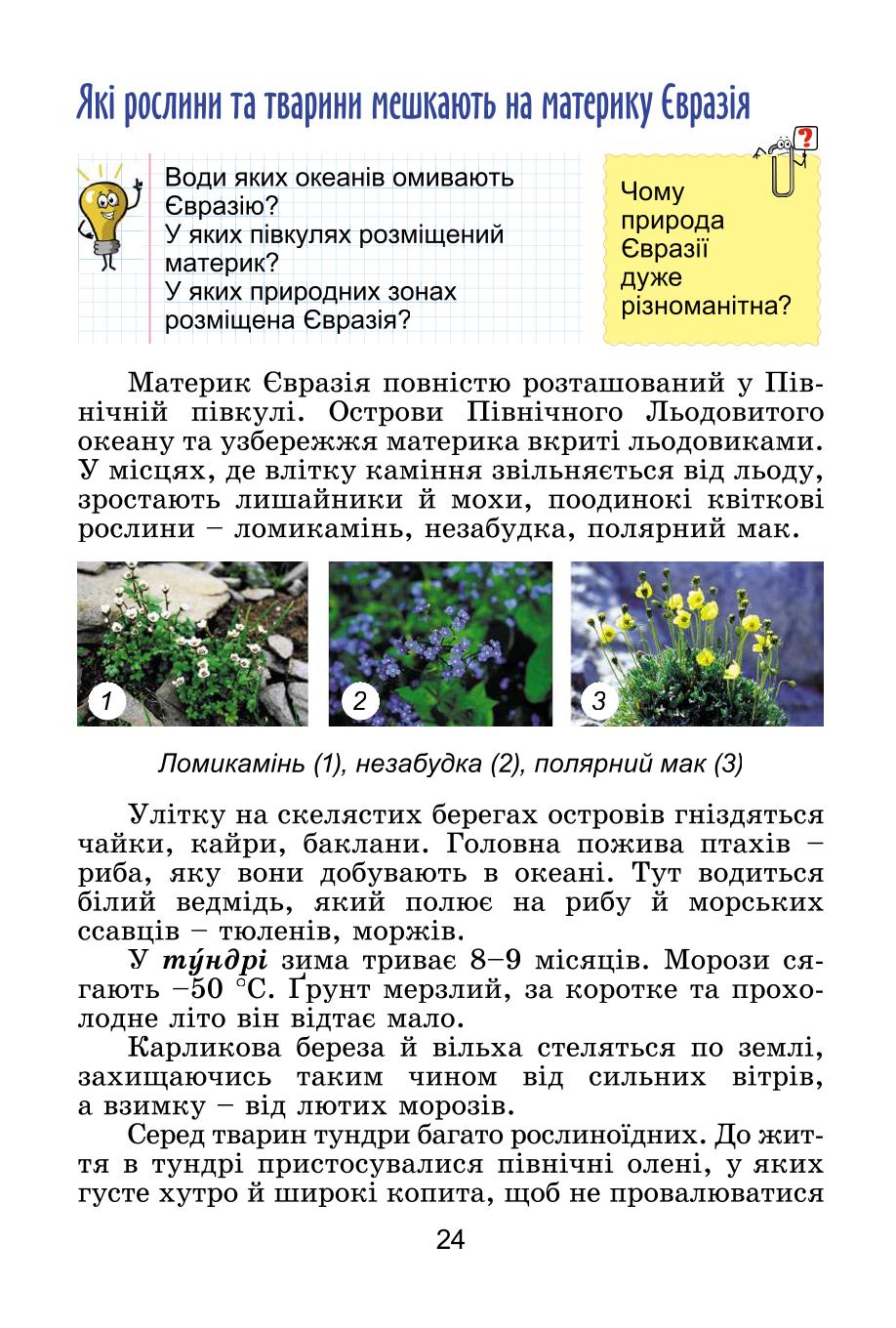 Мініатюра 24