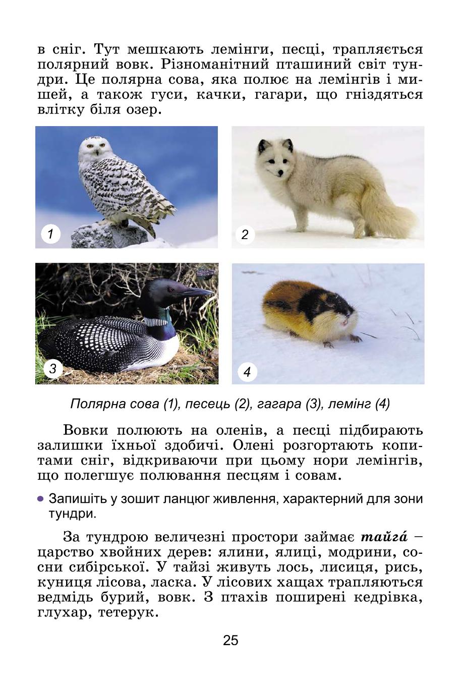 Мініатюра 25