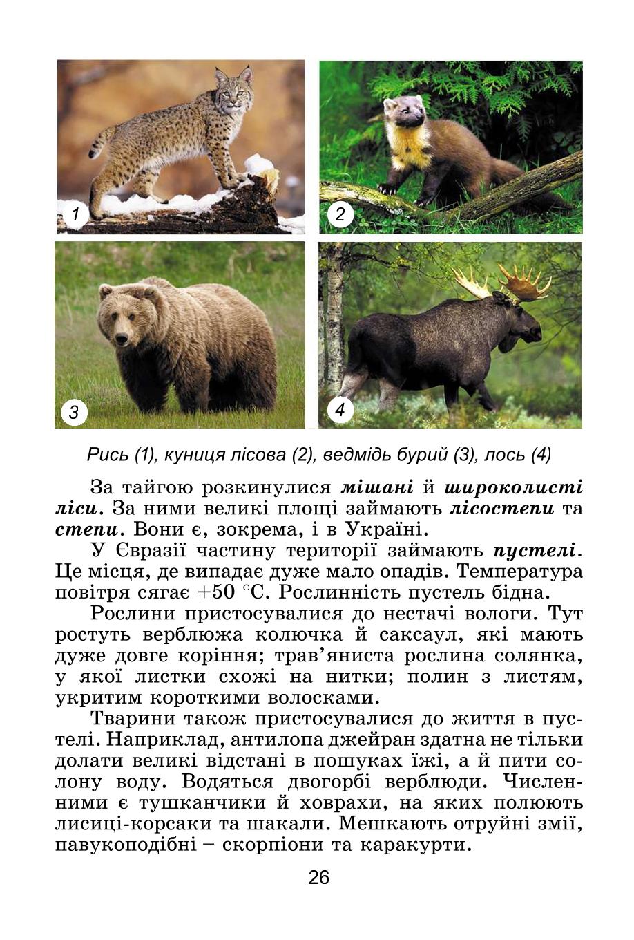 Мініатюра 26