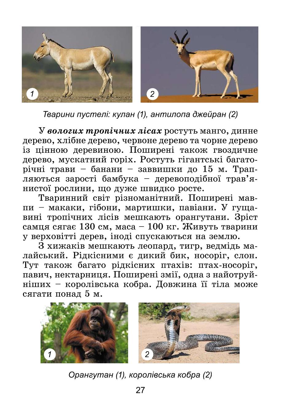 Мініатюра 27