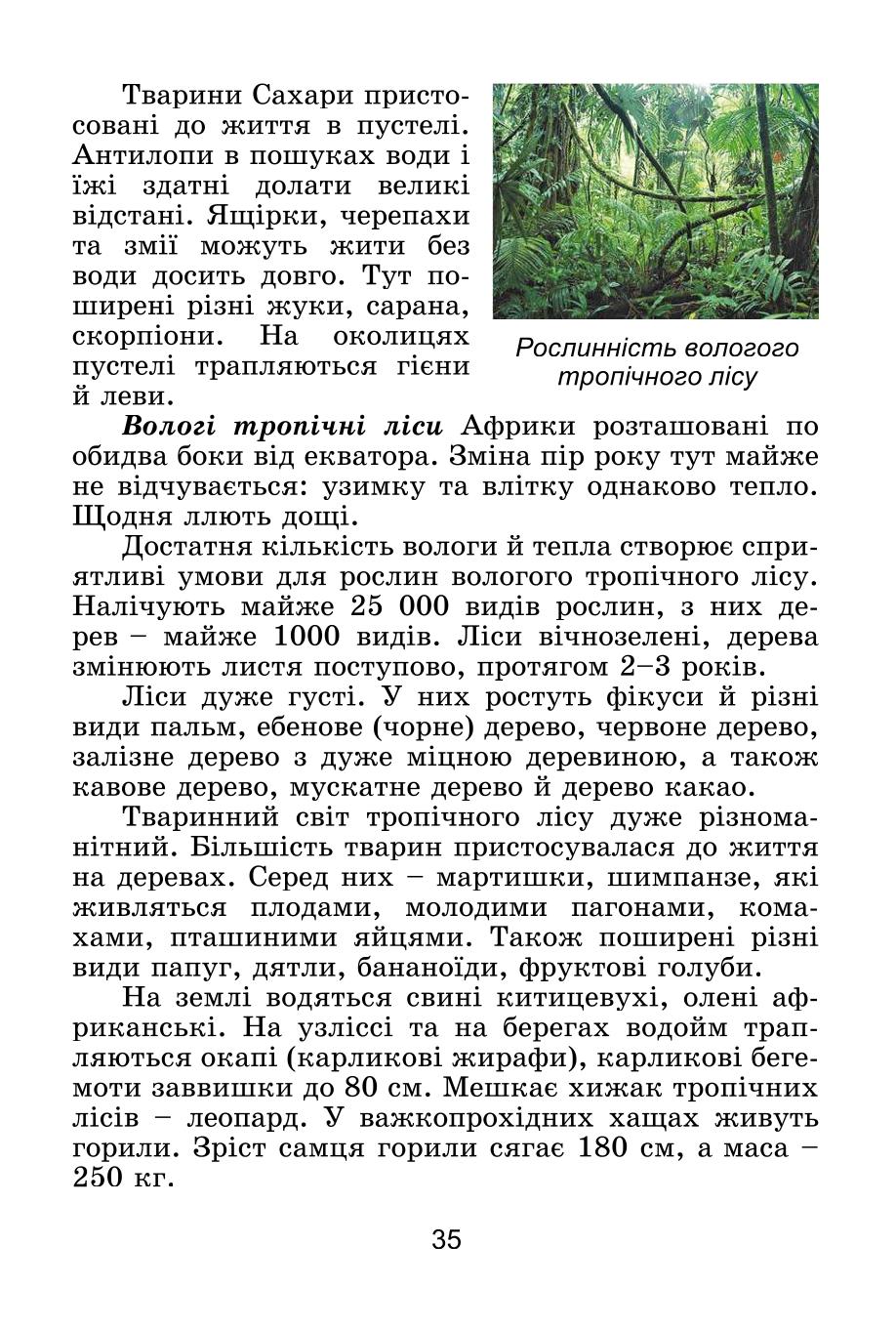 Мініатюра 35