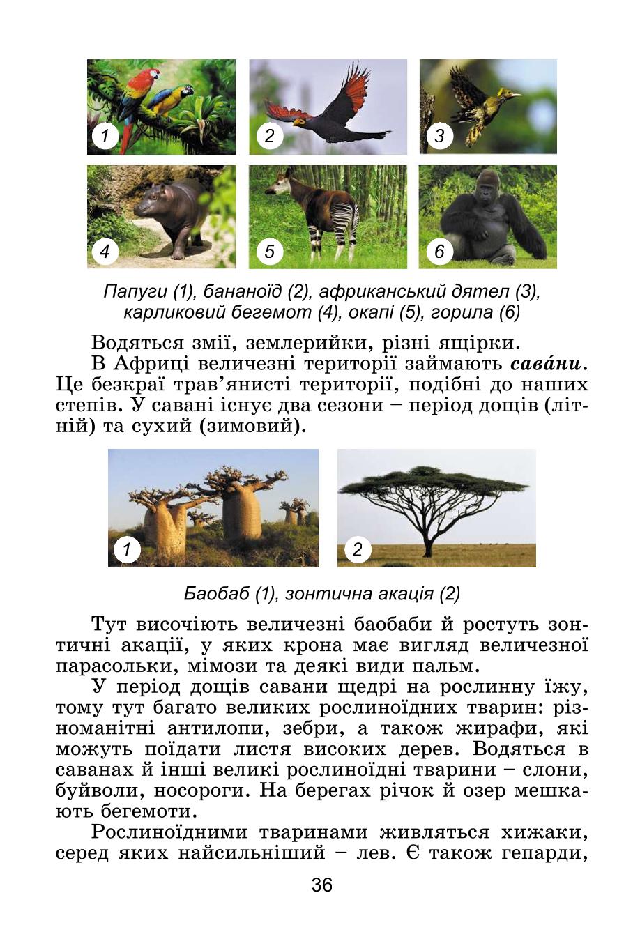 Мініатюра 36