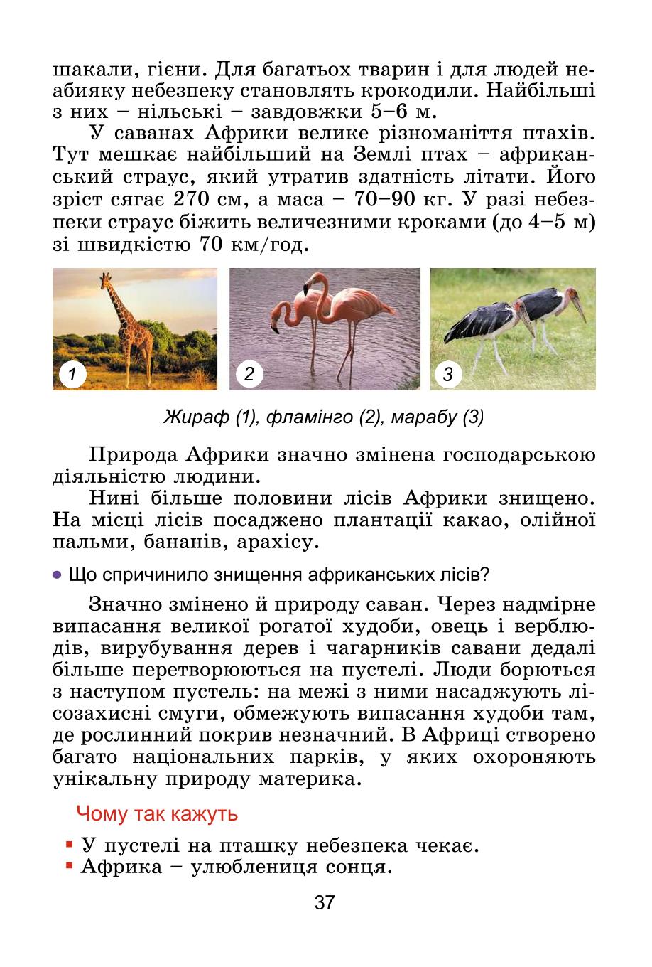 Мініатюра 37