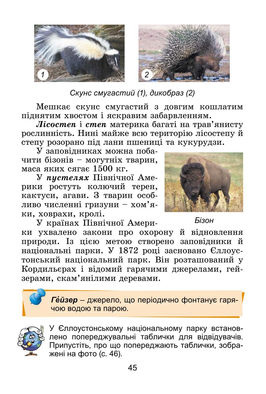 Мініатюра 45