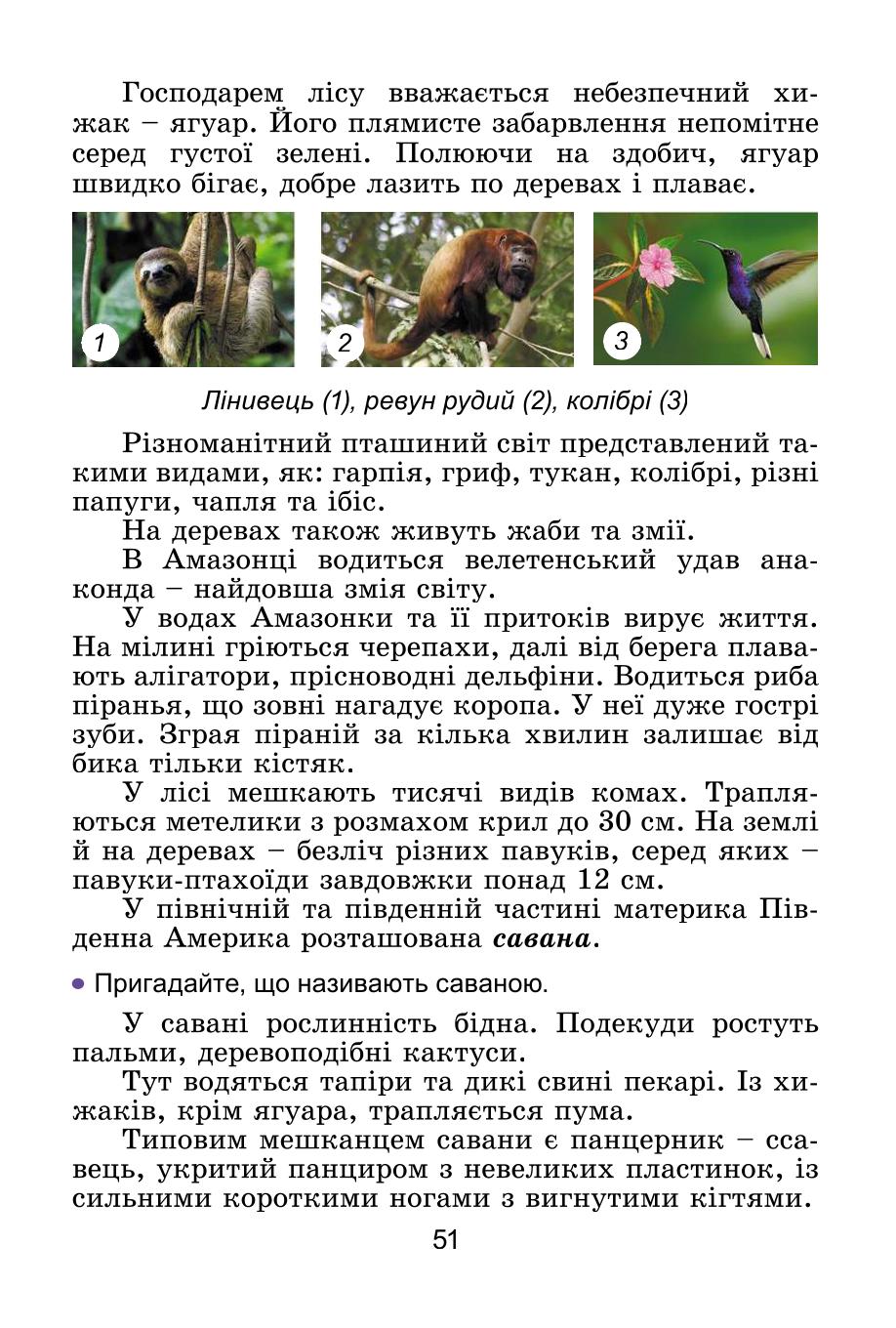 Мініатюра 51