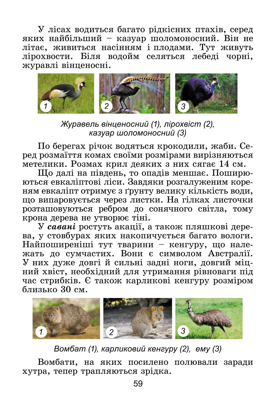 Мініатюра 59