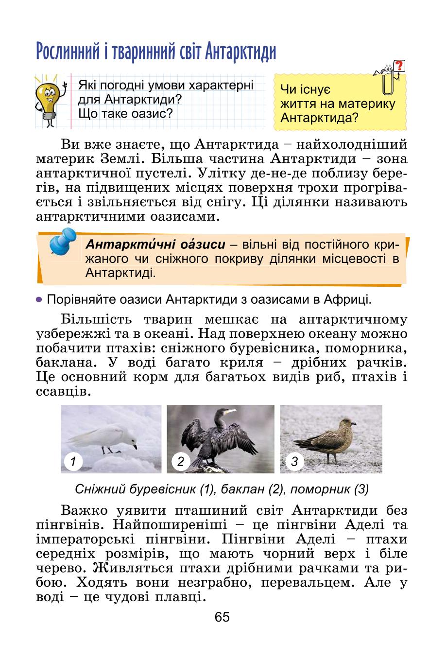 Мініатюра 65