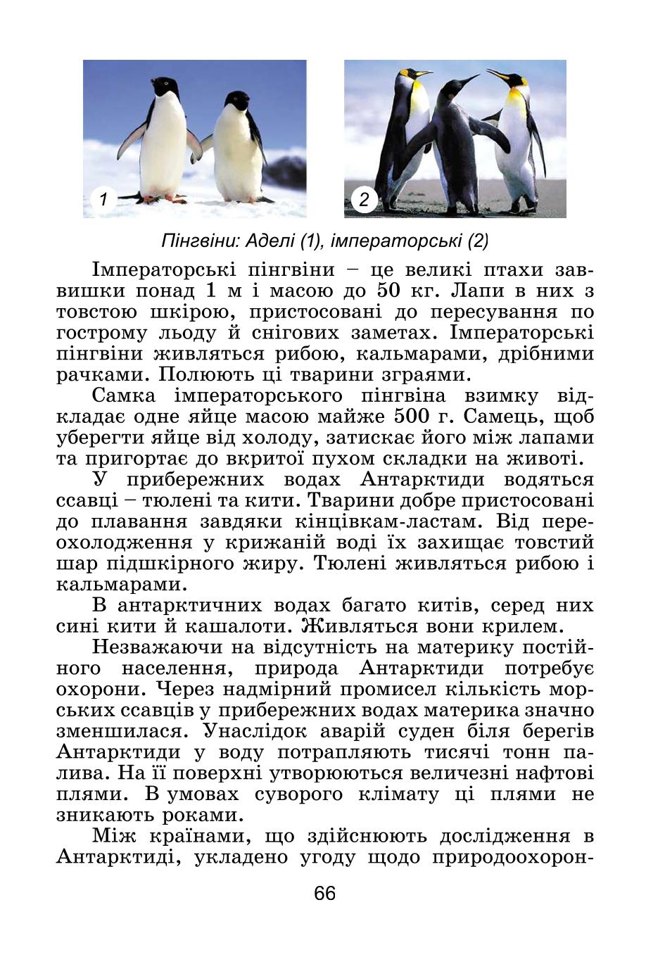 Мініатюра 66