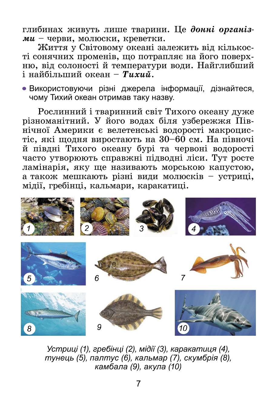 Мініатюра 7