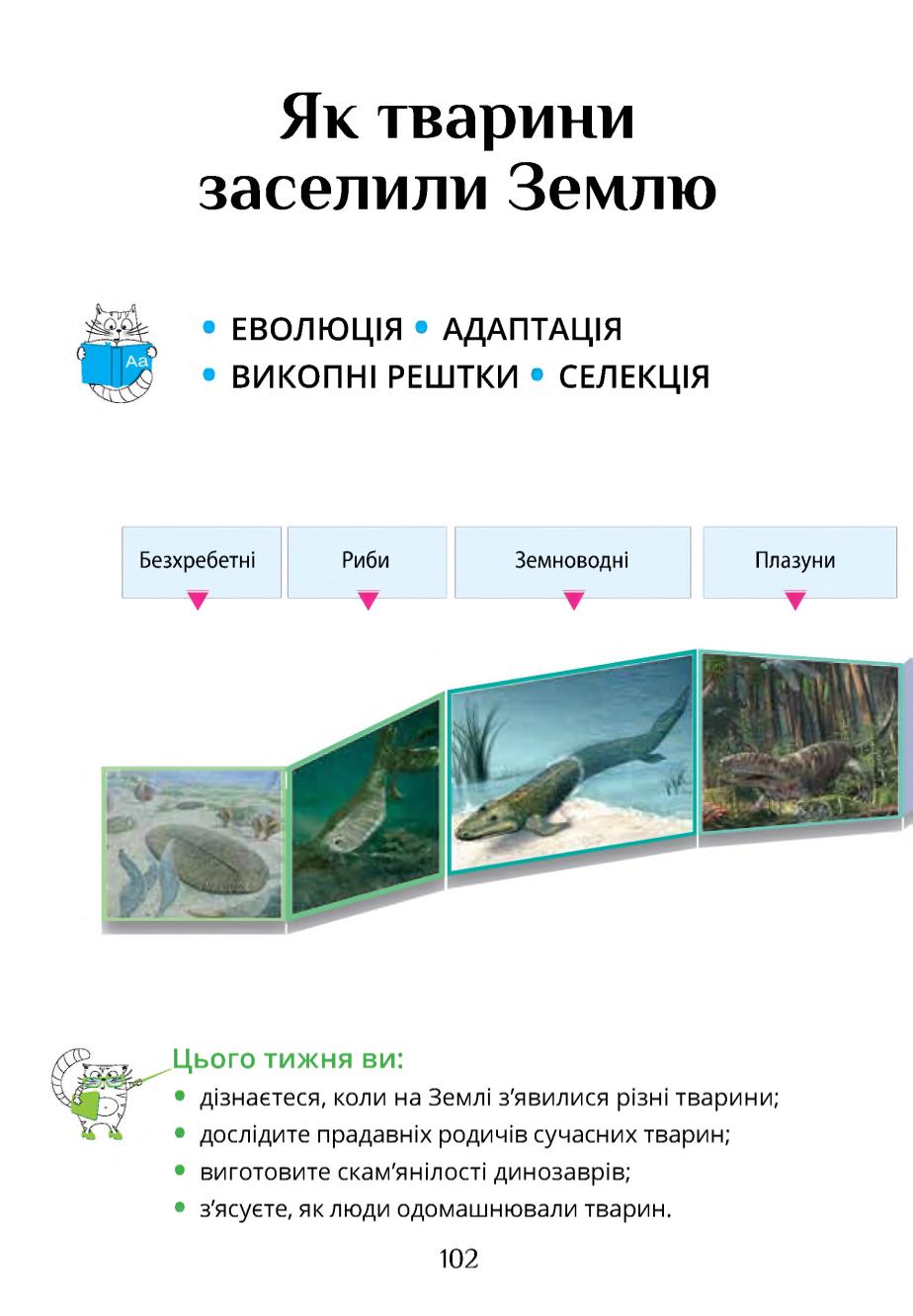 Мініатюра 102