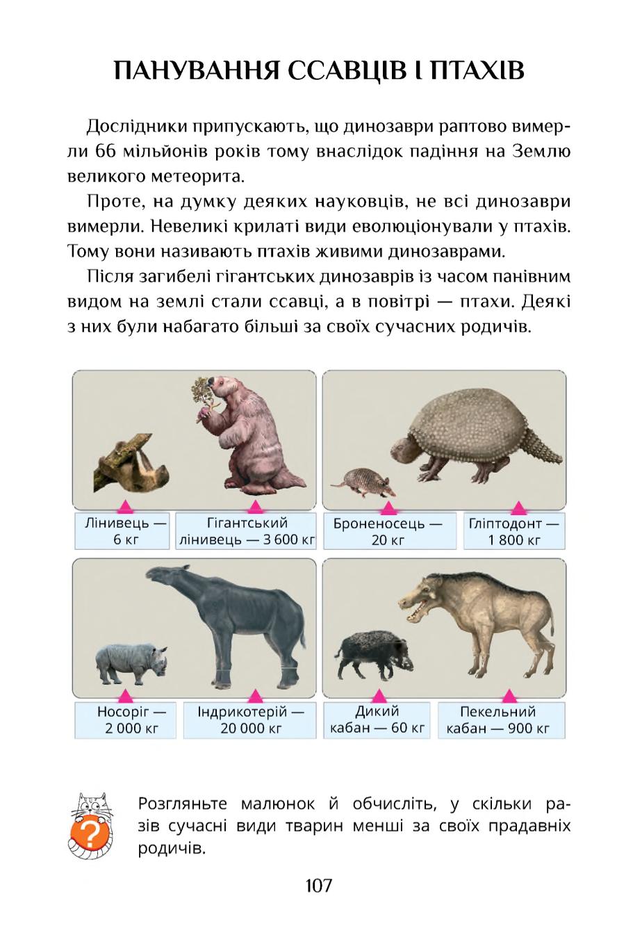 Мініатюра 107