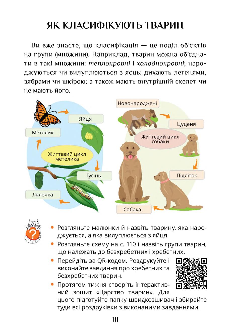 Мініатюра 111