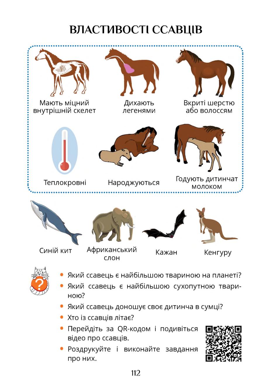 Мініатюра 112